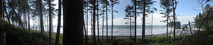 Panoramic view of Ruby Beach, Olympic National Park, Washington