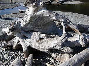 Ruby Beach, Olympic National Park, Washington