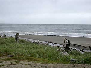 North shore of Willapa Bay, Washington