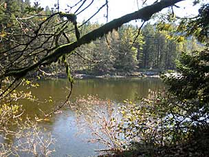 Sandy River at Oxbow Regonal Park