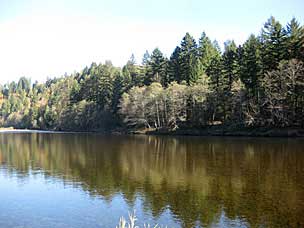 Sandy River at Oxbow Regonal Park