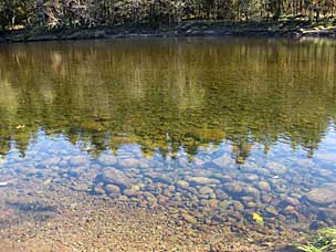 Sandy River at Oxbow Regonal Park