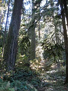 Trail at Oxbow Regonal Park