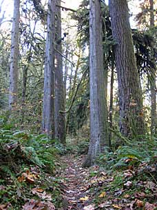 Trail at Oxbow Regonal Park