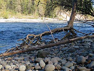 Sandy River at Oxbow Regonal Park