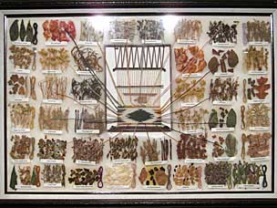 Natural dye sources for Native American textiles, Woolaroc Museum