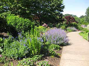 Oregon Garden