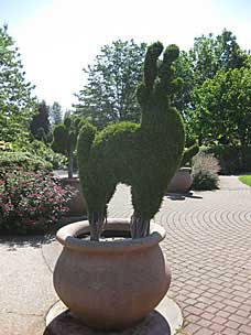 Children's Garden at Oregon Garden