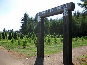 Rediscovery Forest at Oregon Garden