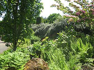 Landscaped slope down from Rose Pedal Fountain to Garden Green at Oregon Garden