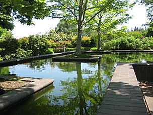 Bosque reflecting pool at Oregon Garden