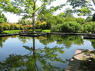 Bosque reflecting pool at Oregon Garden