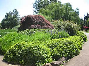 Oregon Garden