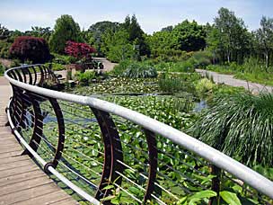 A-mazing Water Garden at Oregon Garden