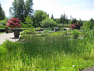 A-mazing Water Garden at Oregon Garden