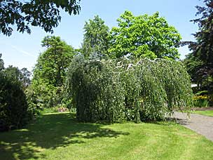 Oregon Garden