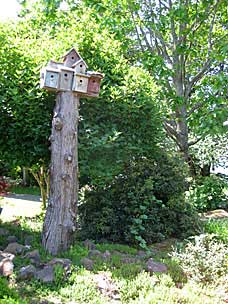 Oregon Garden